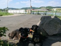 022017IMG 20170522 154452