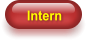 Intern