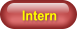 Intern